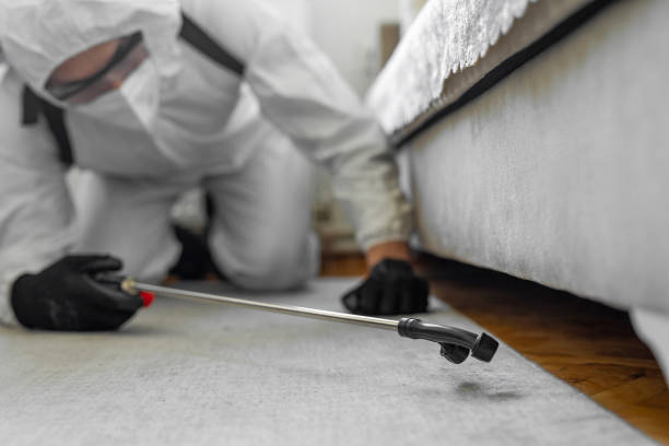Professional Cockroach Control technician working in Acushnet Center, MA